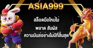 ASIA999 สล็อตมือใหม่ไม่พลาด
